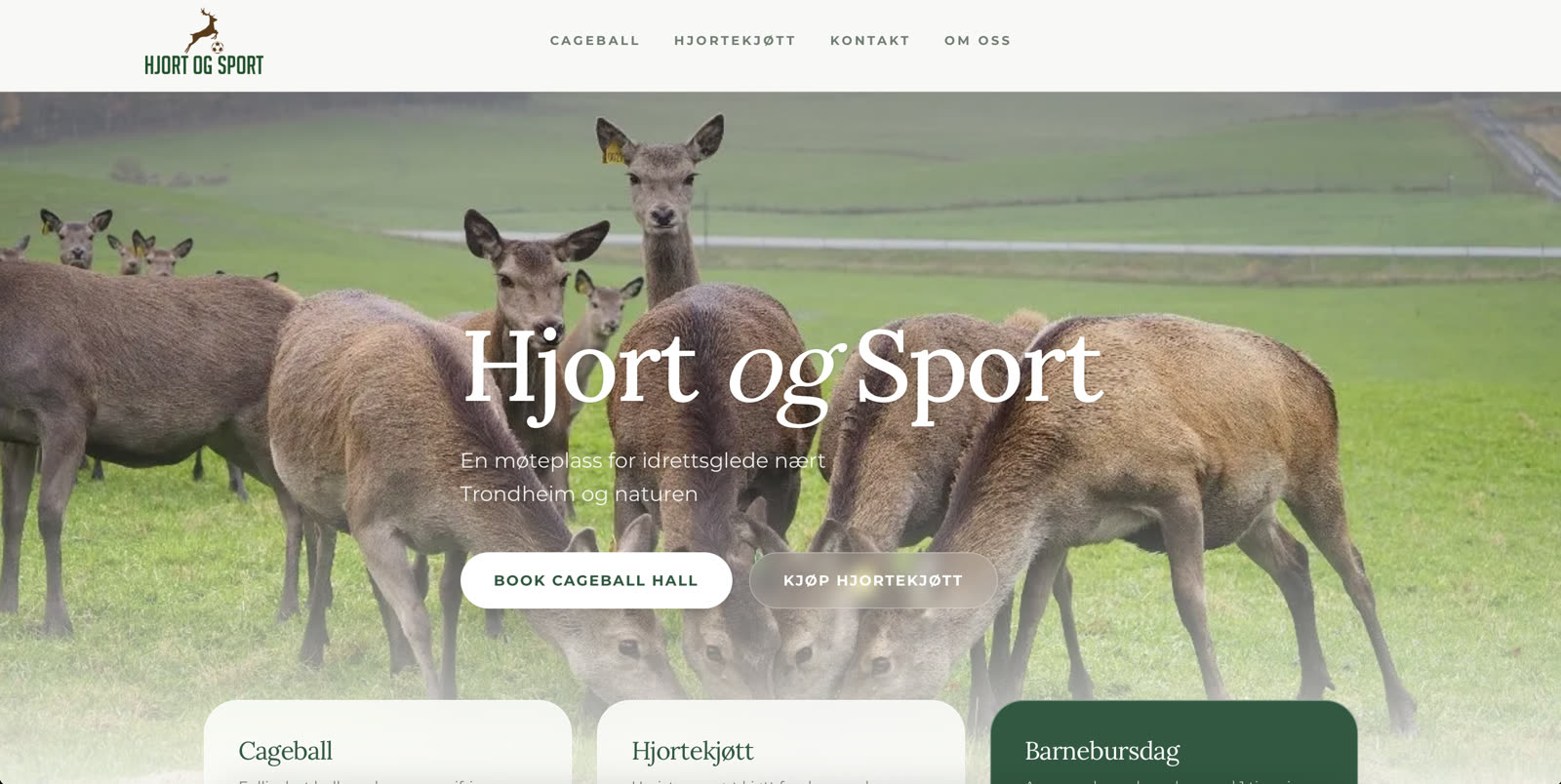 Sports booking interface showing match reservation options and a schedule overview